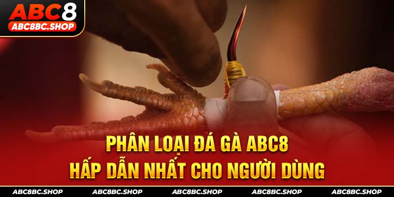 Phân loại đá gà ABC8 hấp dẫn nhất cho người dùng